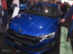 Vienna Drive 15.01.2026